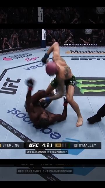 Новый чемпион UFC в легчайшем весе смотреть онлайн