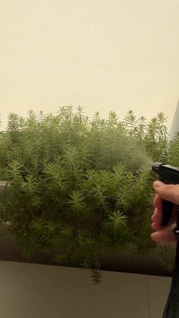 УБОРКА = ♾ арт.пароочистителя:263074001 #уборка #дом #поряд? смотреть онлайн