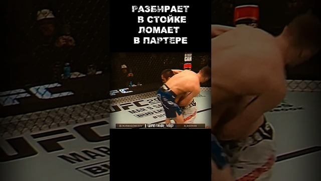 🔥🔥🔥 НУРМАГОМЕДОВ УМАР | UMAR NURMAGOMEDOV #mma #ufc смотреть онлайн