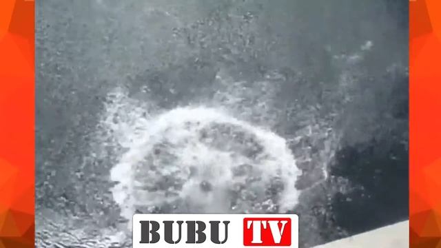 Приколы с девушками (часть 2) | Best Girls Fails 2016 by BUBU TV #5 смотреть онлайн