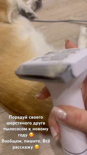 Пылесос для собак с 5ю насадками это супер Крутая вещь смотреть онлайн