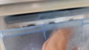 Холодильник Bosch ошибка AL