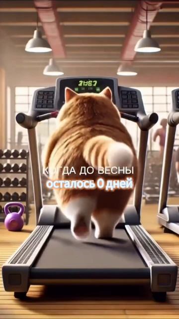 Хочешь снизить вес Больше энергии Хорошее самочувств? смотреть онлайн