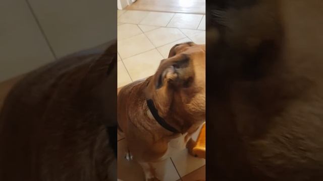 Думы Власа, озвученные Леной... смотреть онлайн