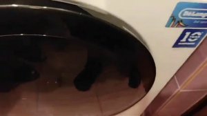 обзор на стиральную машину Delonghi JULIA L 724 VI