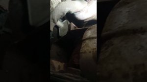 Замена турбины + теплообменника на опель астра 1,4 турб?