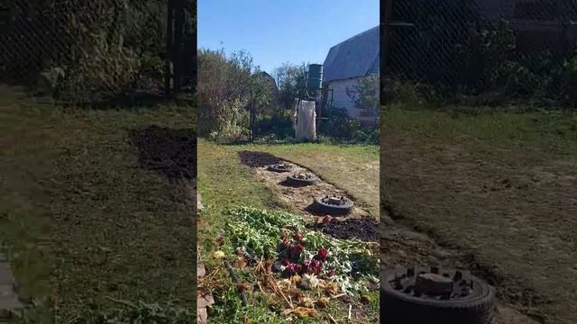 Три колодца слева и справа ...#осень2024 #garden #образование смотреть онлайн