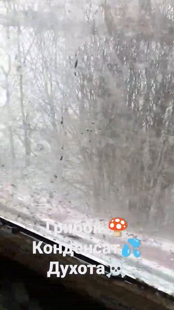 Дом без вентиляции смотреть онлайн