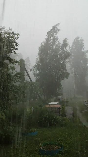 Погода в Ленинградской области Смотреть до конца! смотреть онлайн