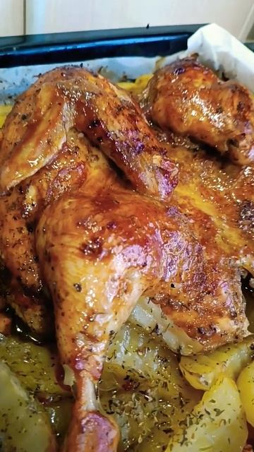 кот ждёт🤣 курочка в духовке 🤤 смотреть онлайн