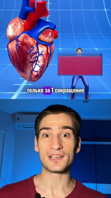 СКОЛЬКО ВЕСИТ СЕРДЦЕ КИТА? #биология #егэ #факты #наука смотреть онлайн