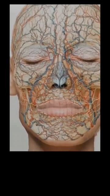 Комбинация трех методик для устранения асимметрии ли? смотреть онлайн