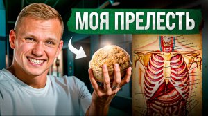 ГРЕЦКИЕ ОРЕХИ заставят организм работать ПО-НОВОМУ