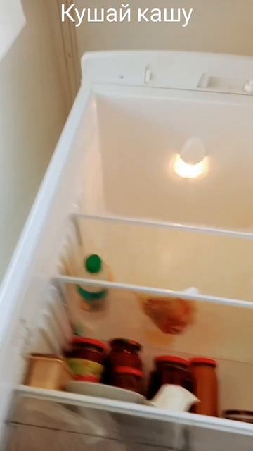 Открываю холодильник проверяю все запасы смотреть онлайн