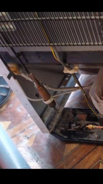 Хлам с avito, холодильник Snaige с утечкой продают как рабоч смотреть онлайн