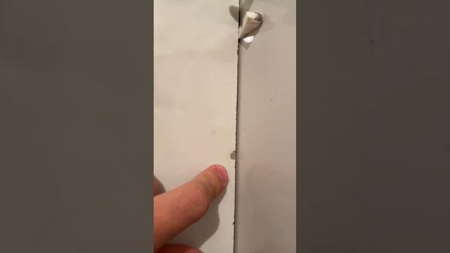 Работа от Голливудской КРЫСЫ 🐀#shorts #бытьбоссом смотреть онлайн