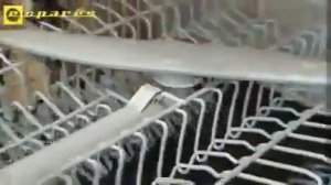 Посудомоечная плохо моет. Заменить разбрызгиватель н?