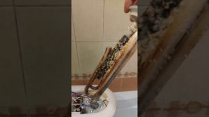 Чистка бойлера от накипи Термекс IF 50