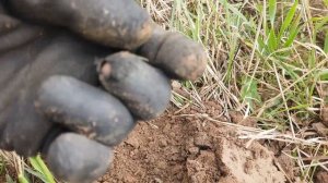 №10. Nokta Legend vs AKA signum 7272 MFD vs Nokta Simplex Plus. Кто лучше?