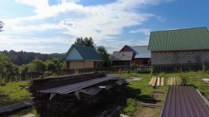 Жизнь на Алтае после переезда. Подарили кедровую плаху. Все помогают!