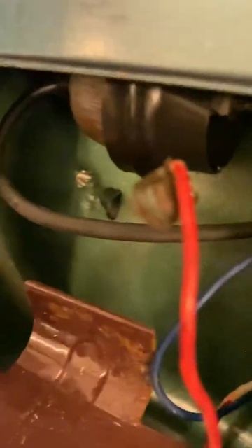 Слон цирковой СССР завод имени Ватутина, Киев-2