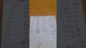 индюки белая широкогрудая ,вес до 2 месяцев!