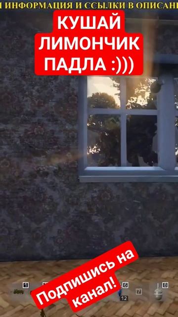 #dayz #pvp #standalone #граната #cherno #survival #lesnik #дейз смотреть онлайн