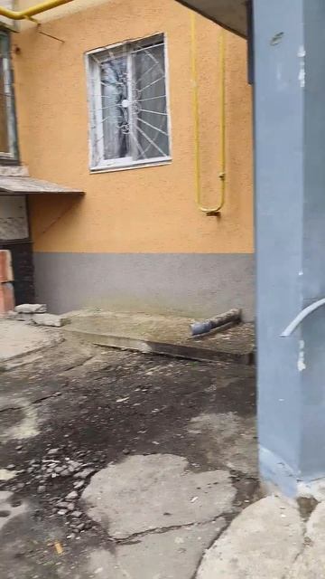 Выбросили холодильник в мусорный ящик!) смотреть онлайн