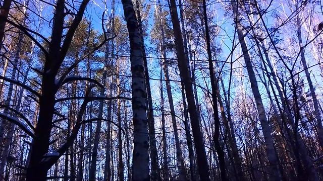 "Берёзки" смотреть онлайн
