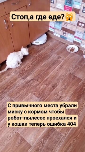 7 марта 2025 г. смотреть онлайн
