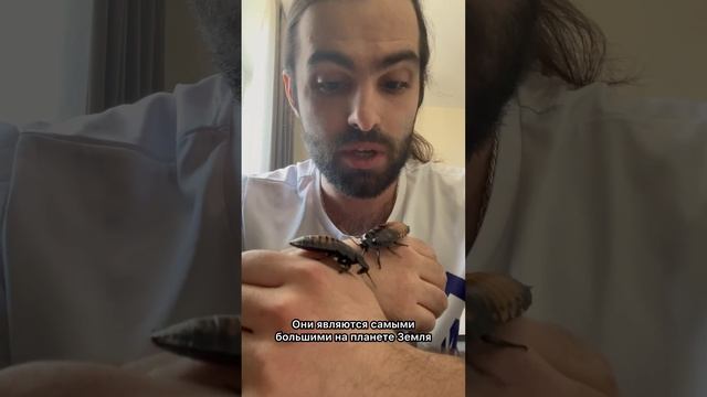 Отчёт о погоде. 25 февраля 2025 года. Вторник. Владивосток смотреть онлайн