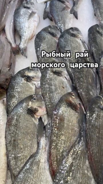 Какую рыбу купить для приготовления в духовке смотреть онлайн