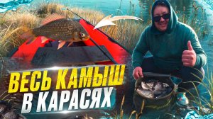 РЫБАЛКА НА КАРАСЯ С ЛОДКИ НА ПОПЛАВОК. ВЕСЬ КАМЫШ В КАРАСЯХ.