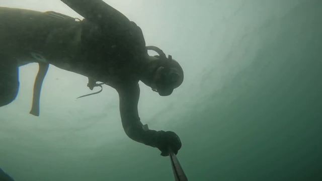 24.11.24 погода шепчет. Закрытие сезона #sea #freediving #море #о? смотреть онлайн