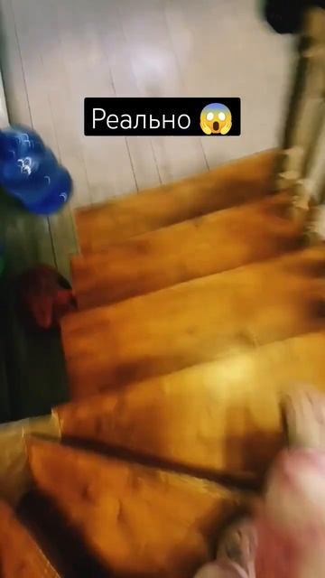 #реки #рекомендации #хочуврек #нехейтитепж #р_е_к_о_м_е_н смотреть онлайн