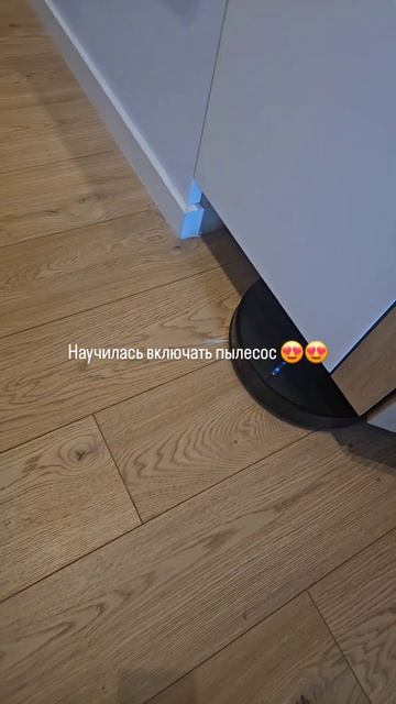 Научилась включать пылесос 🙈🤣 #cat #безкотажизньнета смотреть онлайн