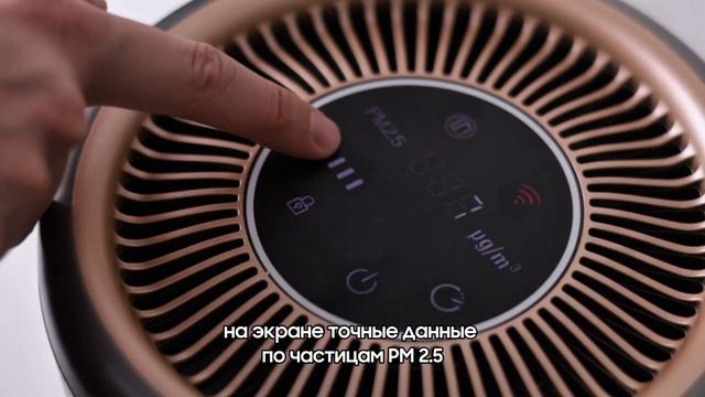 Очиститель воздуха Taylor PJ08 серый смотреть онлайн