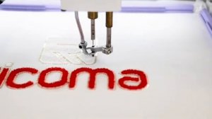 Промышленная  вышивальная машина Ricoma комбинированная