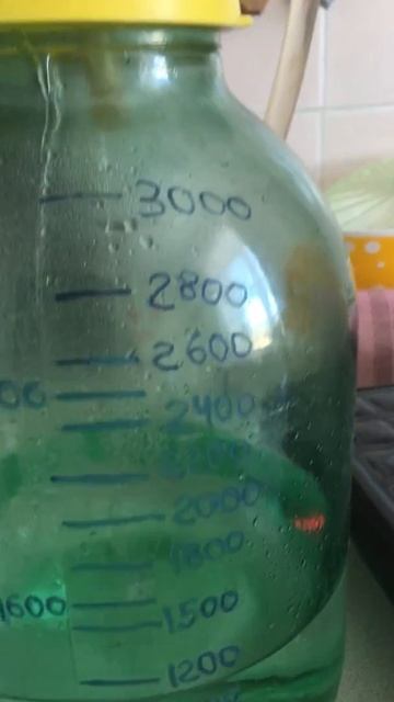 Мой первый аппарат Феникс Хозяин смотреть онлайн