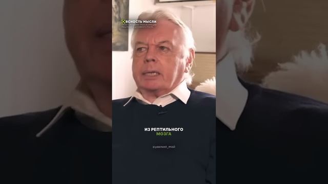 Рептильная часть мозга есть у всех смотреть онлайн