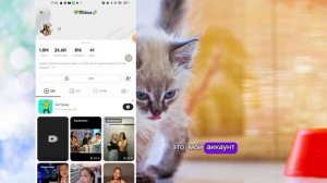 КАК ПОЛУЧИТЬ АКТИВ В ЛАЙКЕ ЗА 5 МИНУТ. КАК СТАТЬ ПОПУЛЯ?