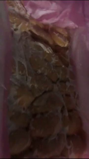 Камера шоковой заморозки смотреть онлайн