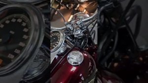 Harley Davidson 2006 год