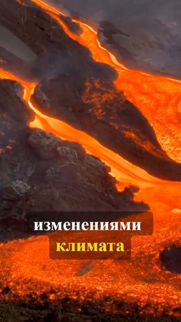 А вы знали, что 90% всех животных вымерло еще до появлен? смотреть онлайн