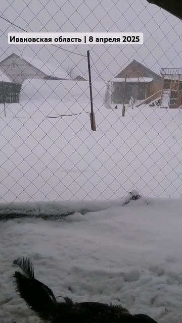 ПОГОДА В ДЕРЕВНЕ | 8.04.2025 #деньвдеревне #жизньвдеревне #? смотреть онлайн