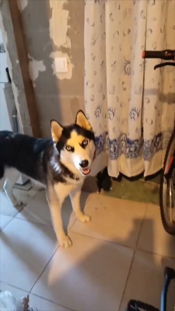 обзор холодильника смотреть онлайн