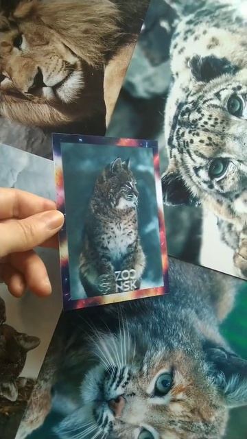 3Д стерео-варио магнит