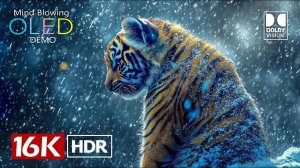 ЭПИЧЕСКОЕ ПУТЕШЕСТВИЕ в 8K HDR – Города, Природа и Дикая Жизнь