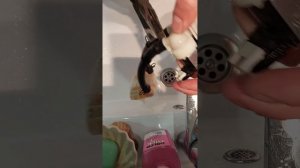 Обслуживание стиральной машинки Hotpoint Ariston