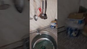 BAXI ECOFOUR БАКСИ ЭКОФОР РЕМОНТ СВОИМИ РУКАМИ ДОМА МИНИМУМ